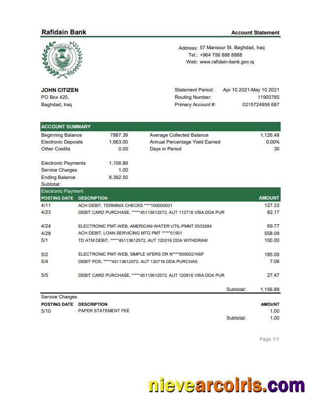 Iraq Rafidain Bank statement in .xls and .pdf file format